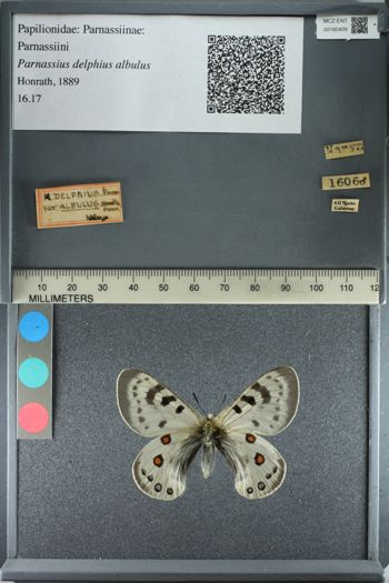 Media type: image;   Entomology 180409